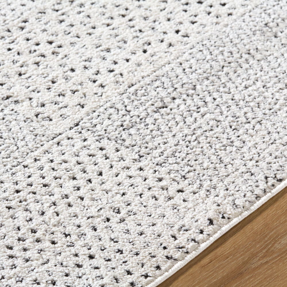 Architect Black/Ivory Machine Woven Rug GAAR-2302 - texture