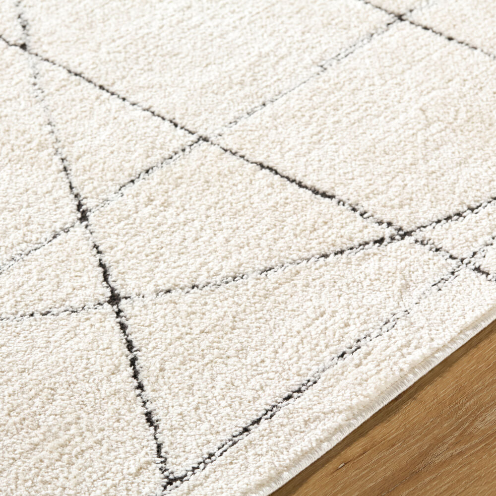Architect Black/Ivory Machine Woven Rug GAAR-2304 - texture
