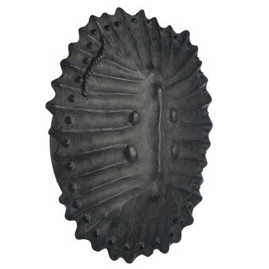 Neushoorn Wall Sconce
