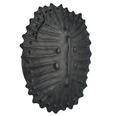 Neushoorn Wall Sconce