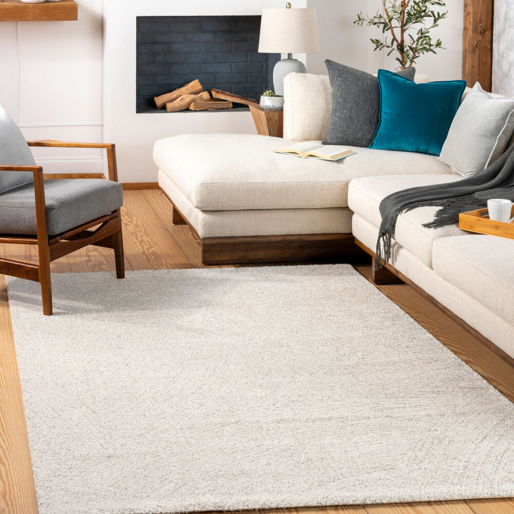 Gavic Charcoal/Medium Gray Machine Woven Rug GVC-2307 - roomscene