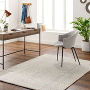 Gavic Cream/White Machine Woven Rug GVC-2313 - roomscene
