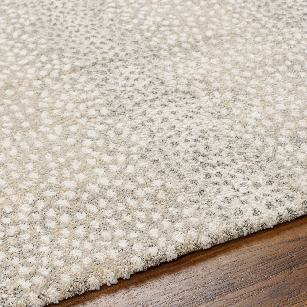 Gavic Cream/White Machine Woven Rug GVC-2313 - texture