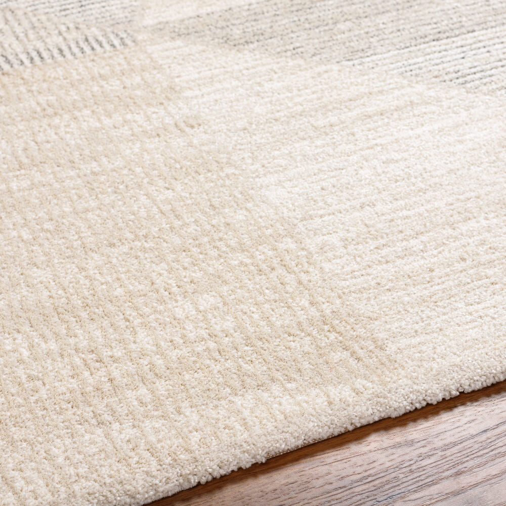 Gavic Ivory/Medium Gray Machine Woven Rug GVC-2320 - texture