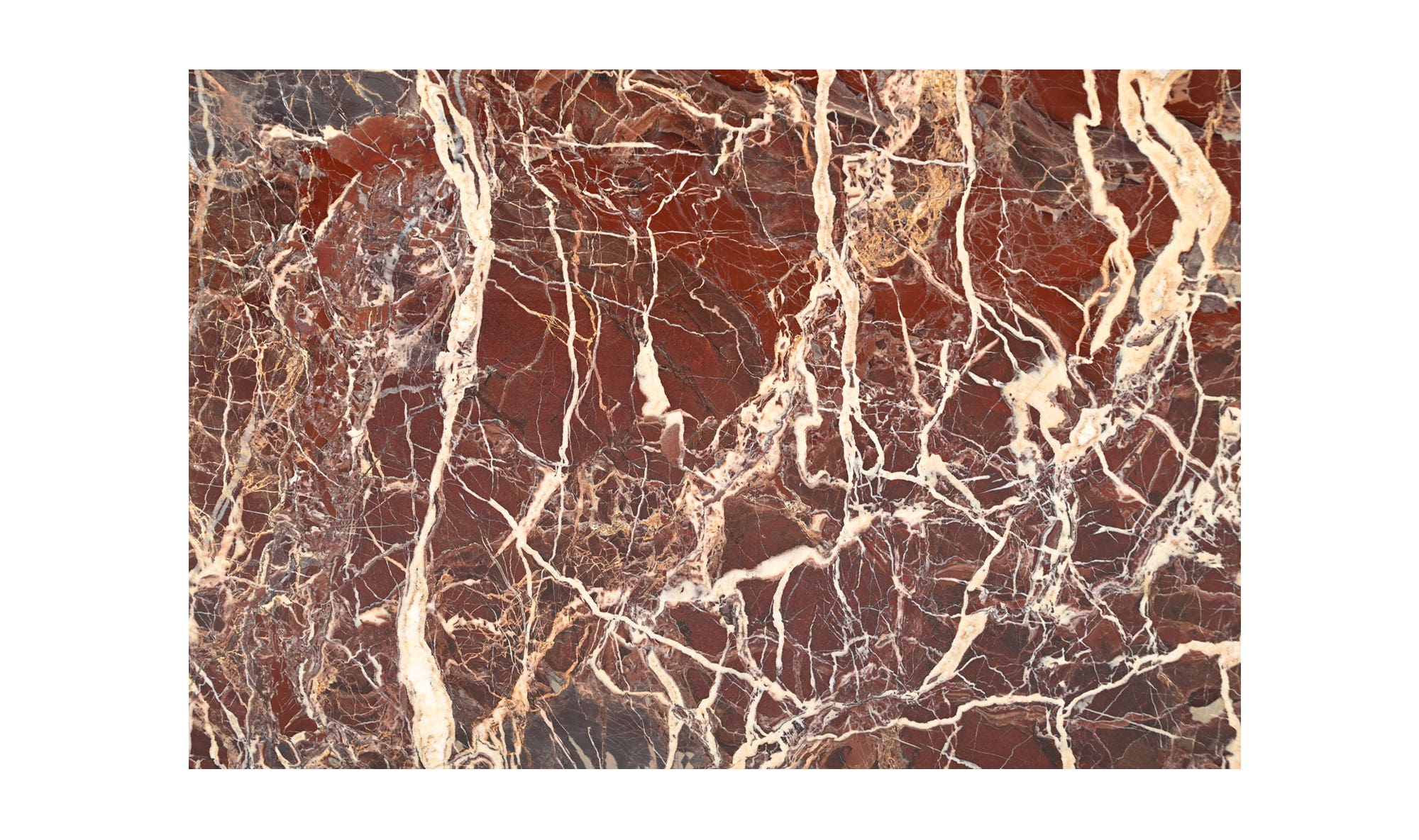 Rosa Coffee Table Rosso Levanto Marble by Moe's Home Collection - view 15