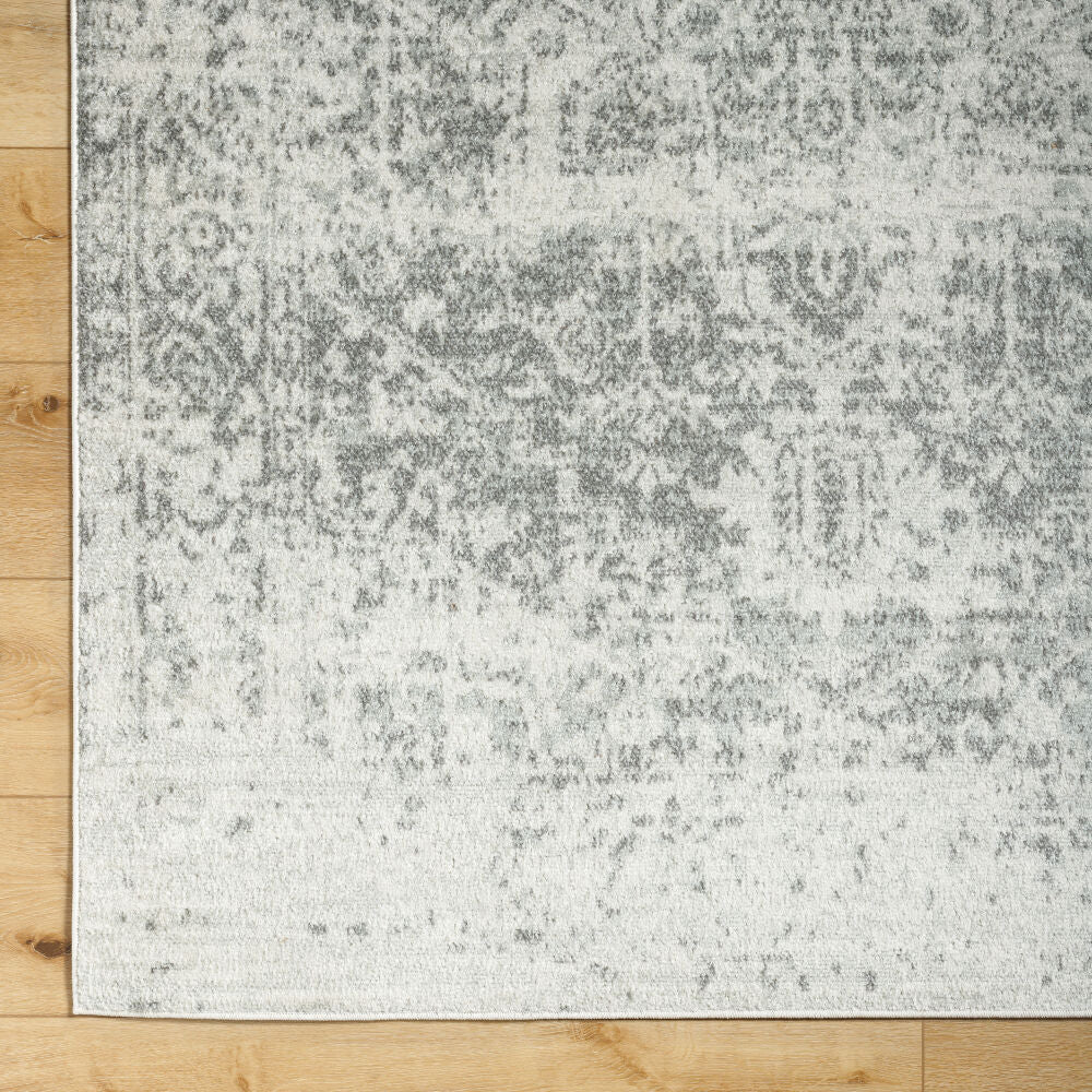 Harput Charcoal/Medium Gray Machine Woven Rug HAP-1024 - overhead