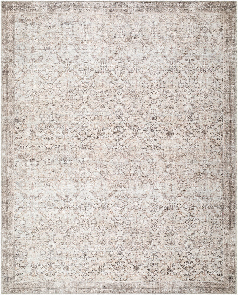 Amelia Machine Woven Rug JYAL-2301 - 2' x 2'11"