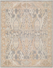 Ladik Brown/Pale Blue Machine Woven Rug LDK-2301 - 9'10" x 13'3"