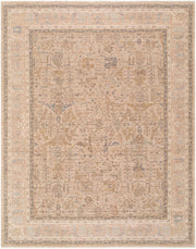 Ladik Brown/Pale Blue Machine Woven Rug LDK-2304 - 9'10" x 13'3"
