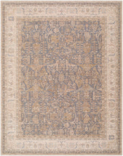 Ladik Brown/Pale Blue Machine Woven Rug LDK-2305 - 9'10" x 13'3"