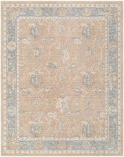 Ladik Brown/Pale Blue Machine Woven Rug LDK-2306 - 9'10" x 13'3"