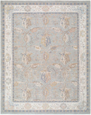 Ladik Brown/Pale Blue Machine Woven Rug LDK-2307 - 9'10" x 13'3"