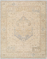 Ladik Brown/Pale Blue Machine Woven Rug LDK-2309 - 9'10" x 13'3"