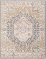 Ladik Brown/Pale Blue Machine Woven Rug LDK-2310 - 9'10" x 13'3"