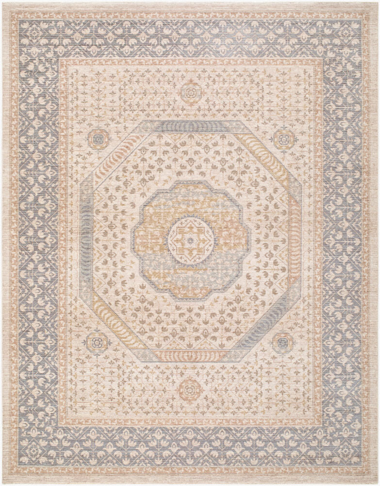 Ladik Brown/Pale Blue Machine Woven Rug LDK-2311 - 9'10" x 13'3"