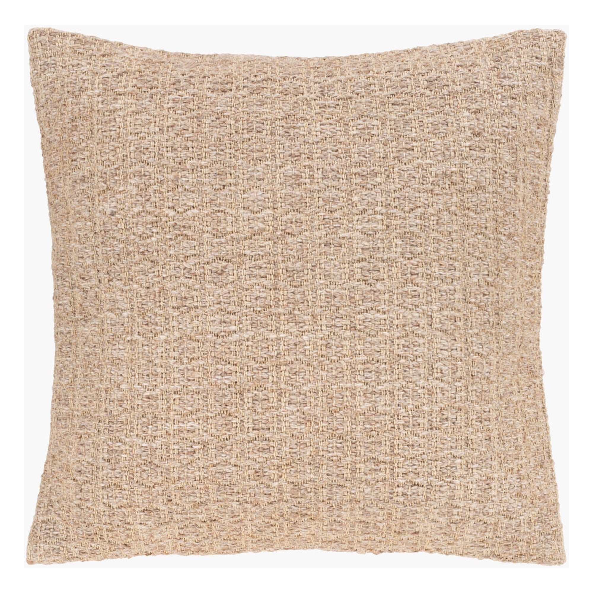 Leif Accent Pillow LIF-003 - 20"L x 20"W