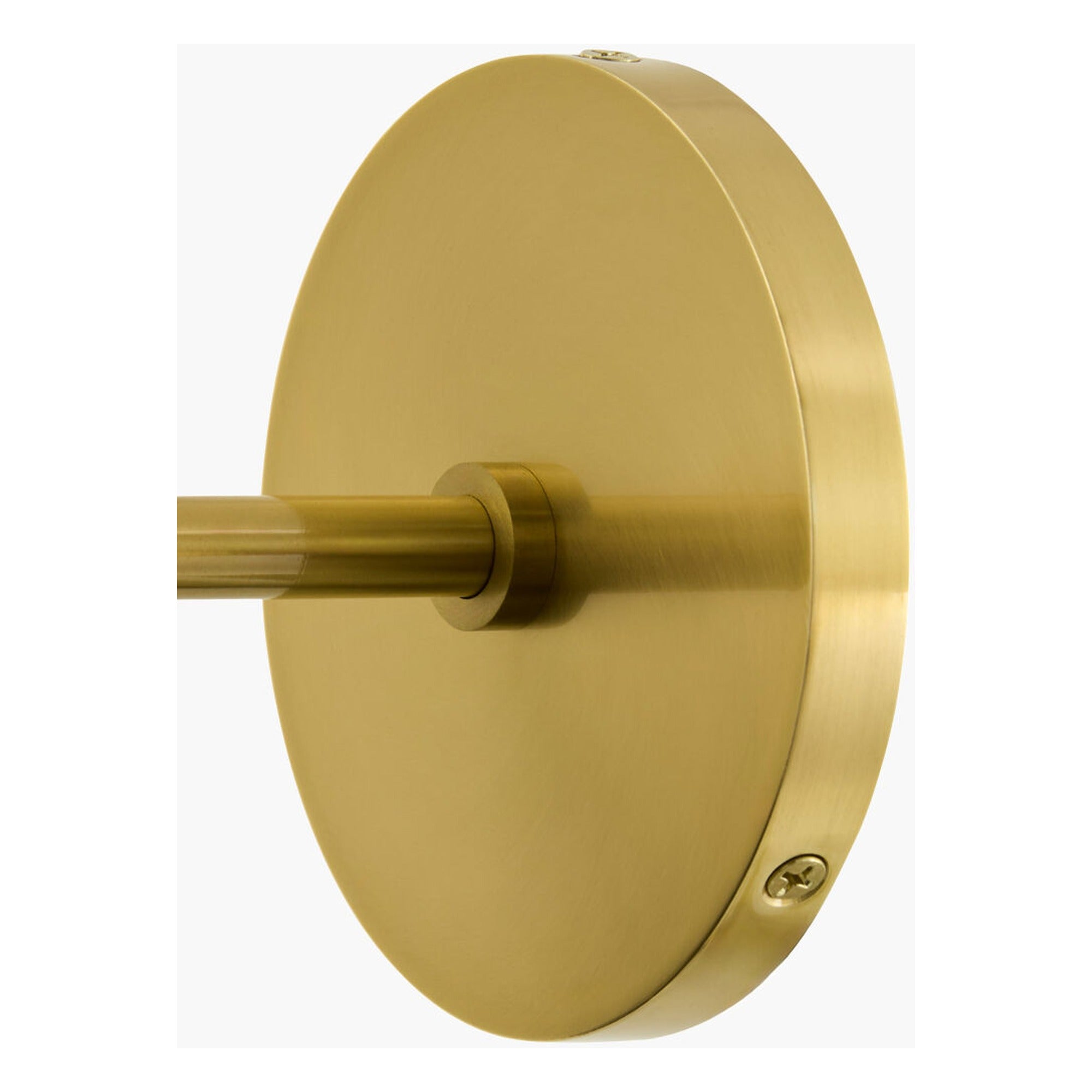 Antibodi Wall Sconce - image 4