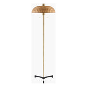 Tifu Accent Floor Lamp - image 1
