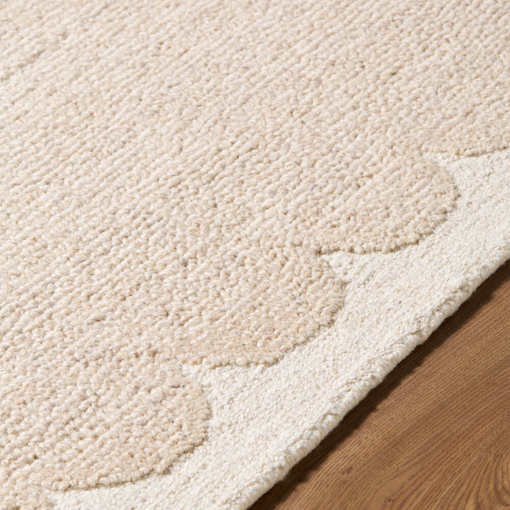 Long Island Handmade Rug LOI-2301 - texture