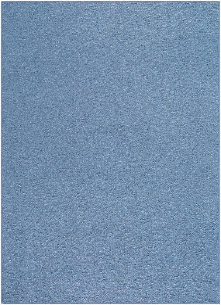 Lush Handmade Rug LSH-2305 - 2' x 3'