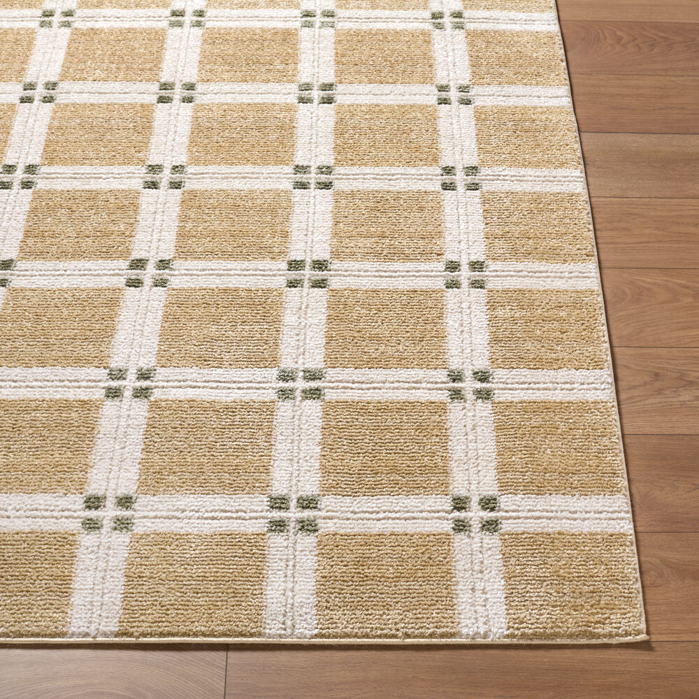 La Luna Light Gray/Tan Machine Woven Rug - front