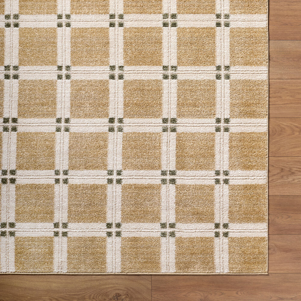 La Luna Light Gray/Tan Machine Woven Rug - overhead