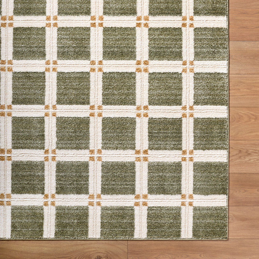La Luna Light Brown/Olive Machine Woven Rug LUU-2309 - overhead