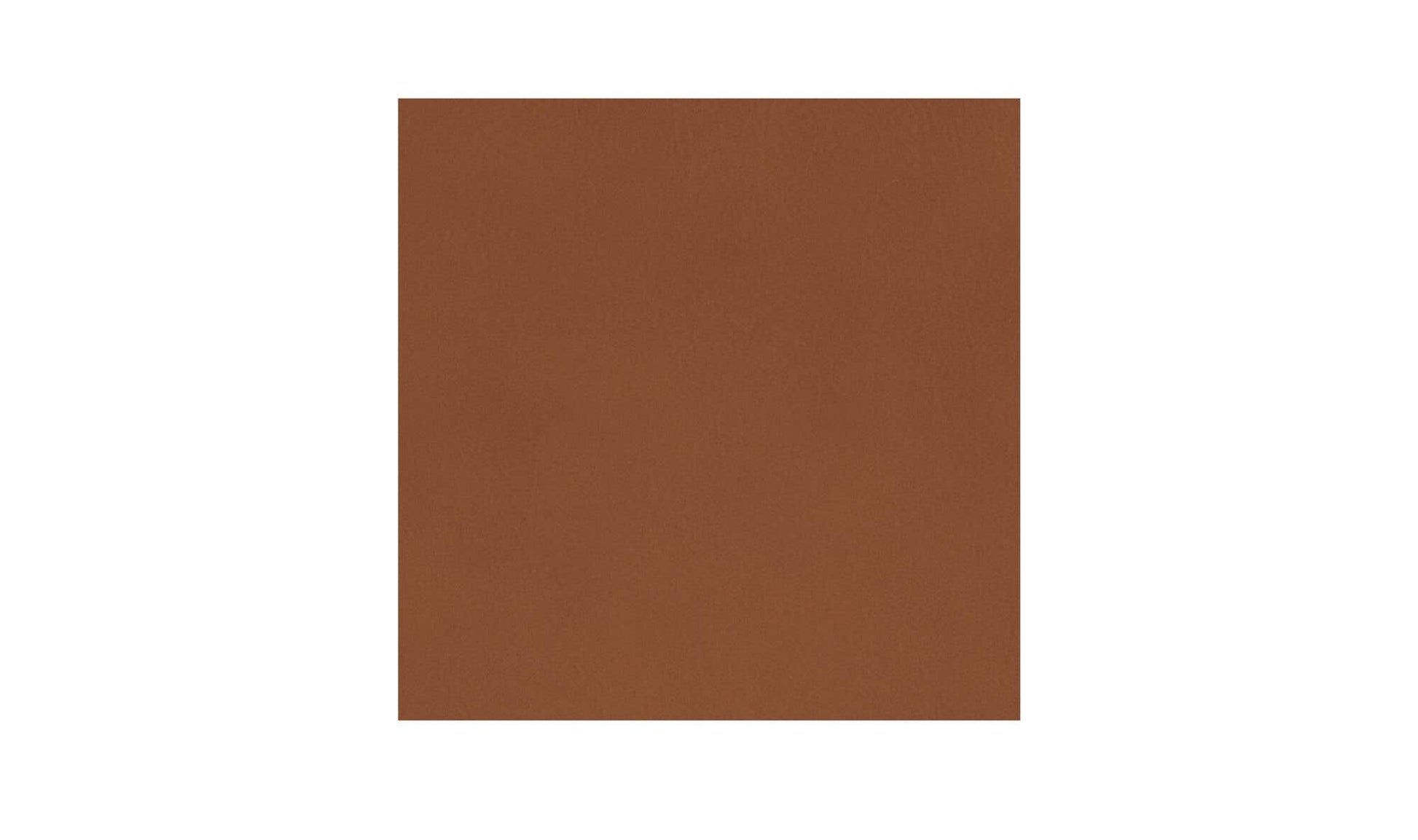 Baker Accent Chair Brown by Moe's Home Collection - view 10