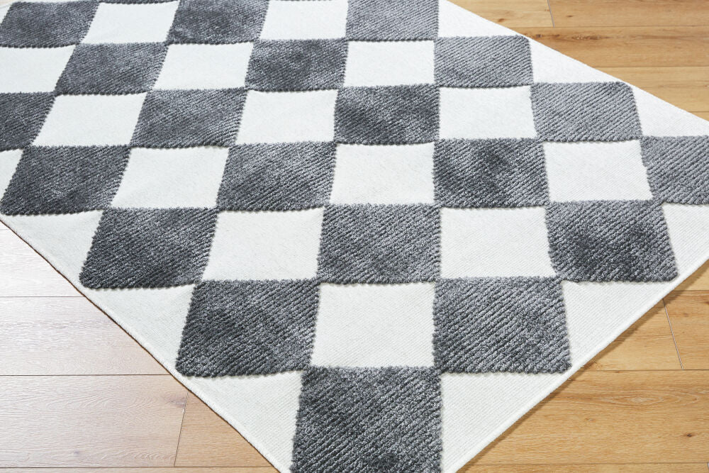 Lyna Charcoal/White Machine Woven Rug - corner