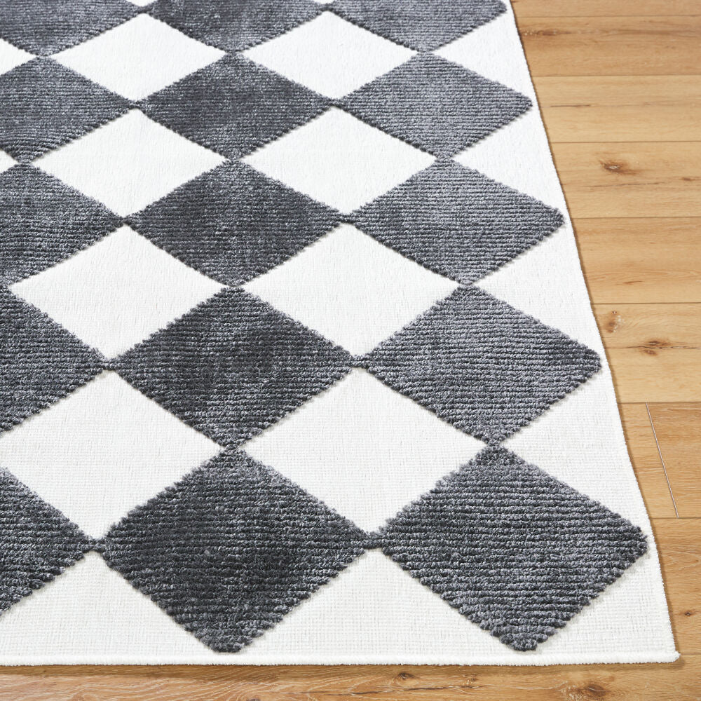 Lyna Charcoal/White Machine Woven Rug - front
