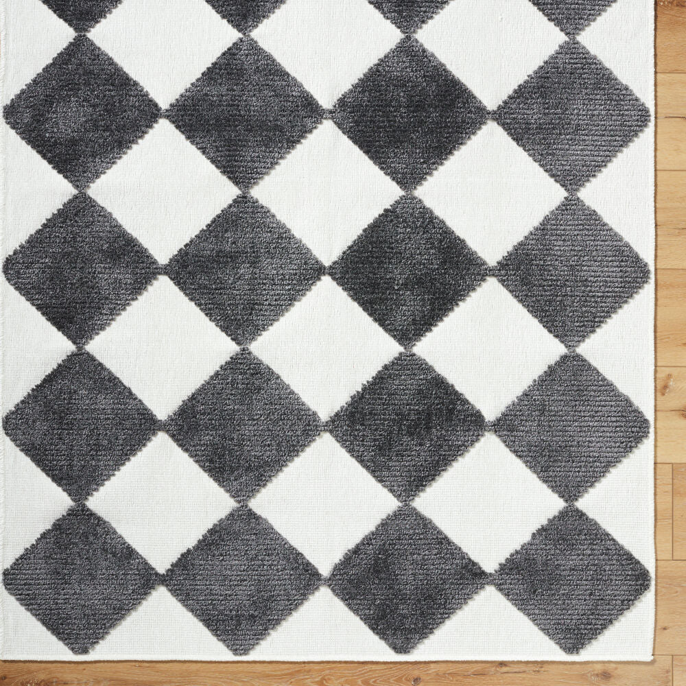 Lyna Charcoal/White Machine Woven Rug - overhead