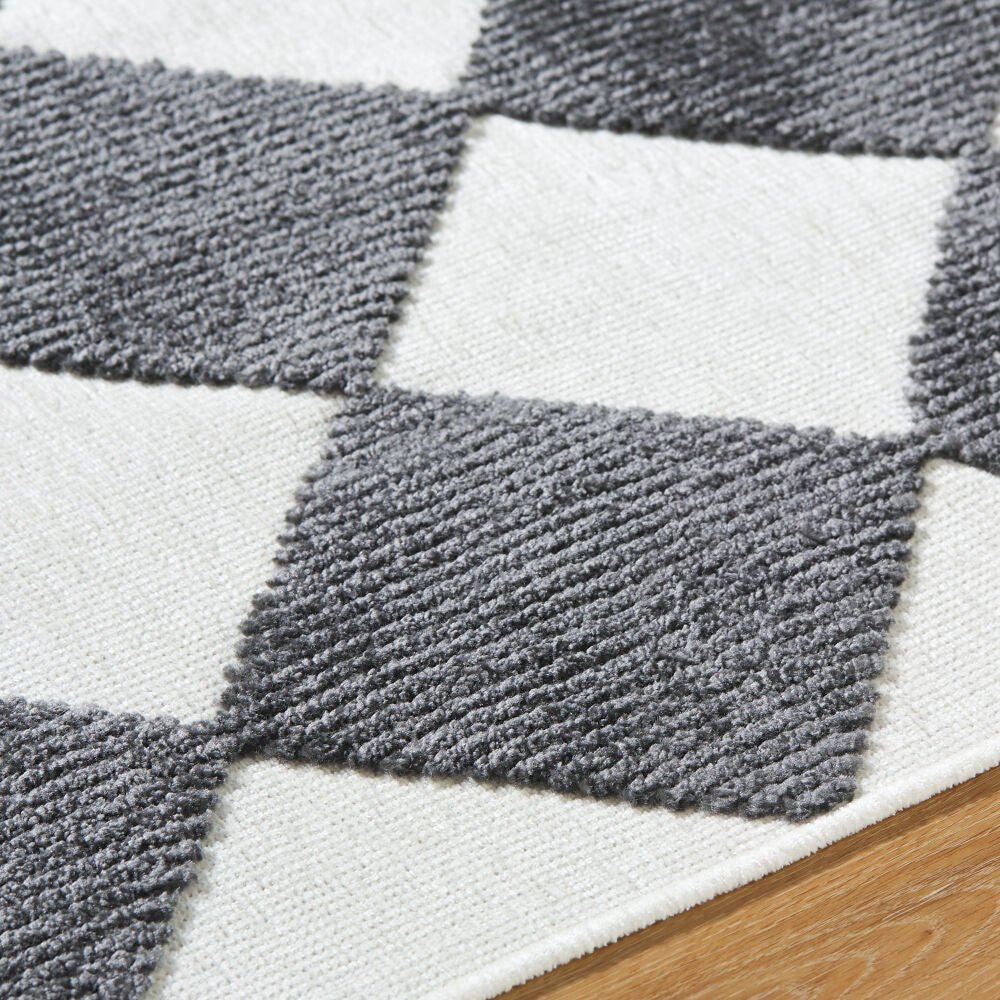 Lyna Charcoal/White Machine Woven Rug - texture