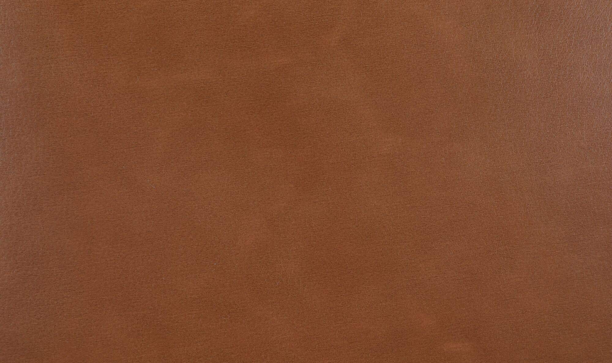 Ellie Dining Chair Brown Leather by Moe's Home Collection - view 10