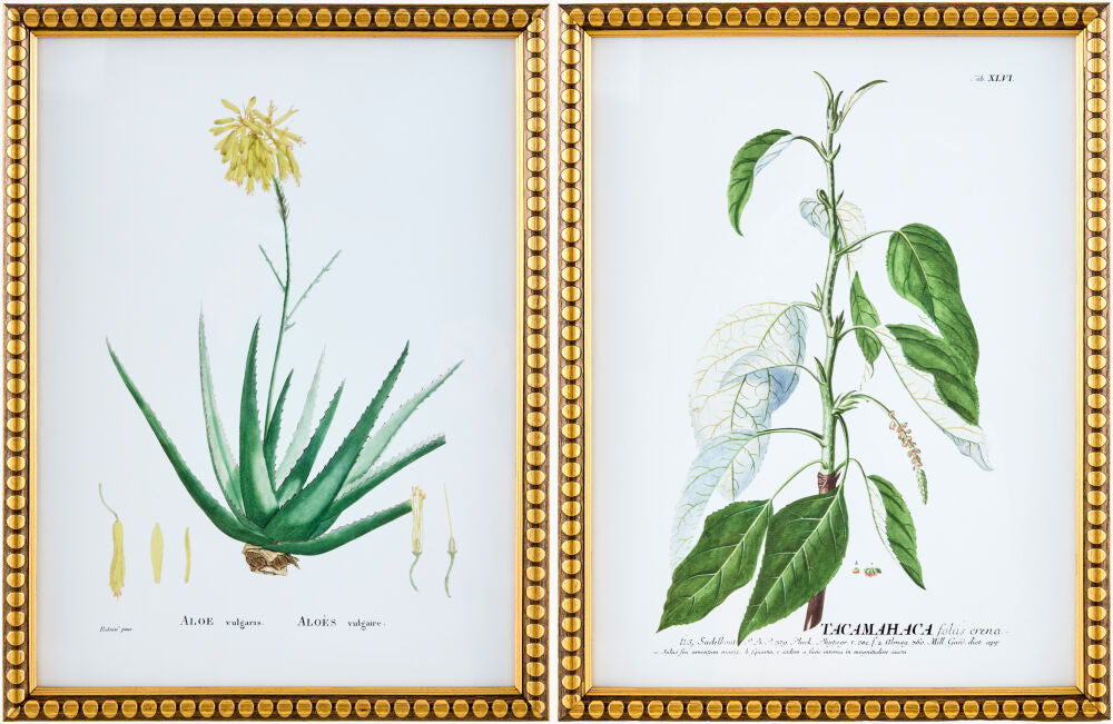 Midsummer Framed Art MIDS-002 - 17"H x 13"W x 1"D, 17"H x 13"W x 1"D