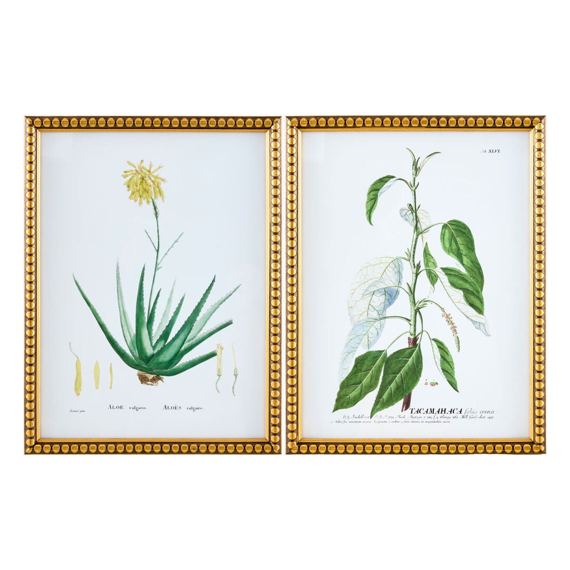 Midsummer Framed Art MIDS-002 - 17"H x 13"W x 1"D, 17"H x 13"W x 1"D