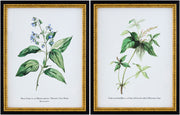 Midsummer Framed Art MIDS-003 - 18"H x 14"W x 1"D, 18"H x 14"W x 1"D