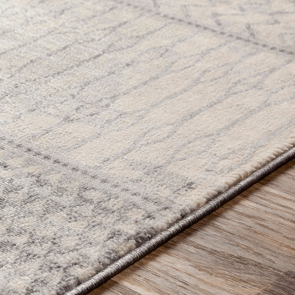 Monaco Gray/Silver Gray Machine Woven Rug MOC-2306 - texture