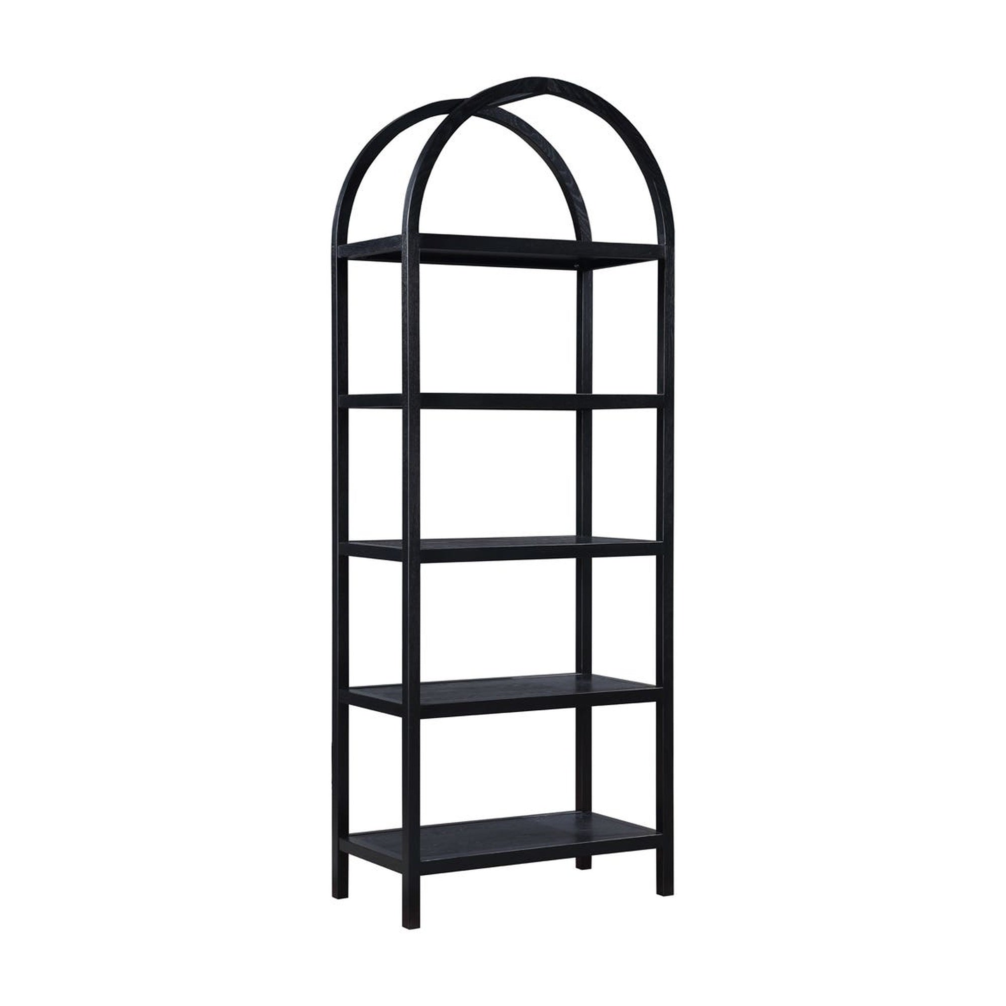 Eero Bookcase Black by Moe's Home Collection