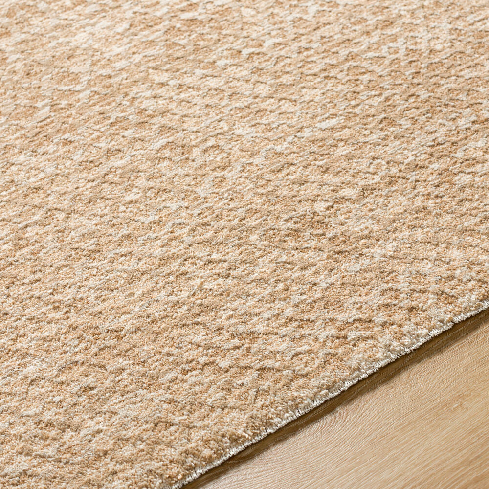 Masterpiece Beige/Tan Machine Woven Rug MPC-2302 - texture