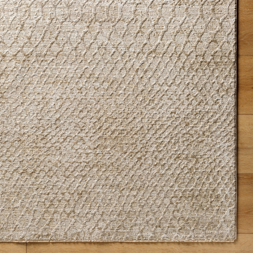 Masterpiece Light Gray/Medium Gray Machine Woven Rug MPC-2303 - overhead