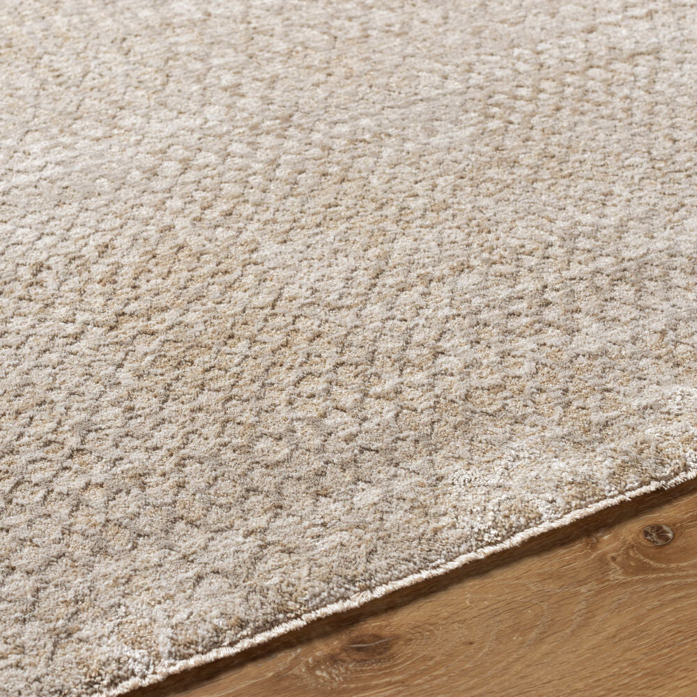 Masterpiece Light Gray/Medium Gray Machine Woven Rug MPC-2303 - texture