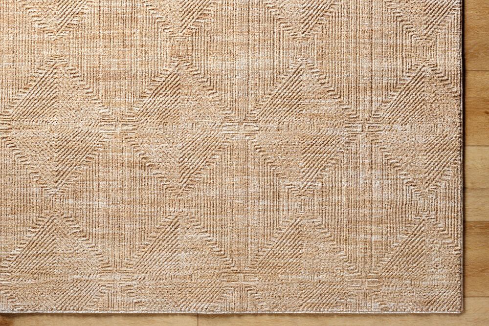 Masterpiece Beige/Tan Machine Woven Rug MPC-2312 - overhead