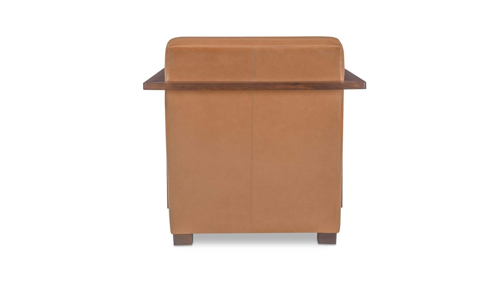 Barnes Accent Chair Tan by Moe's Home Collection - view 7