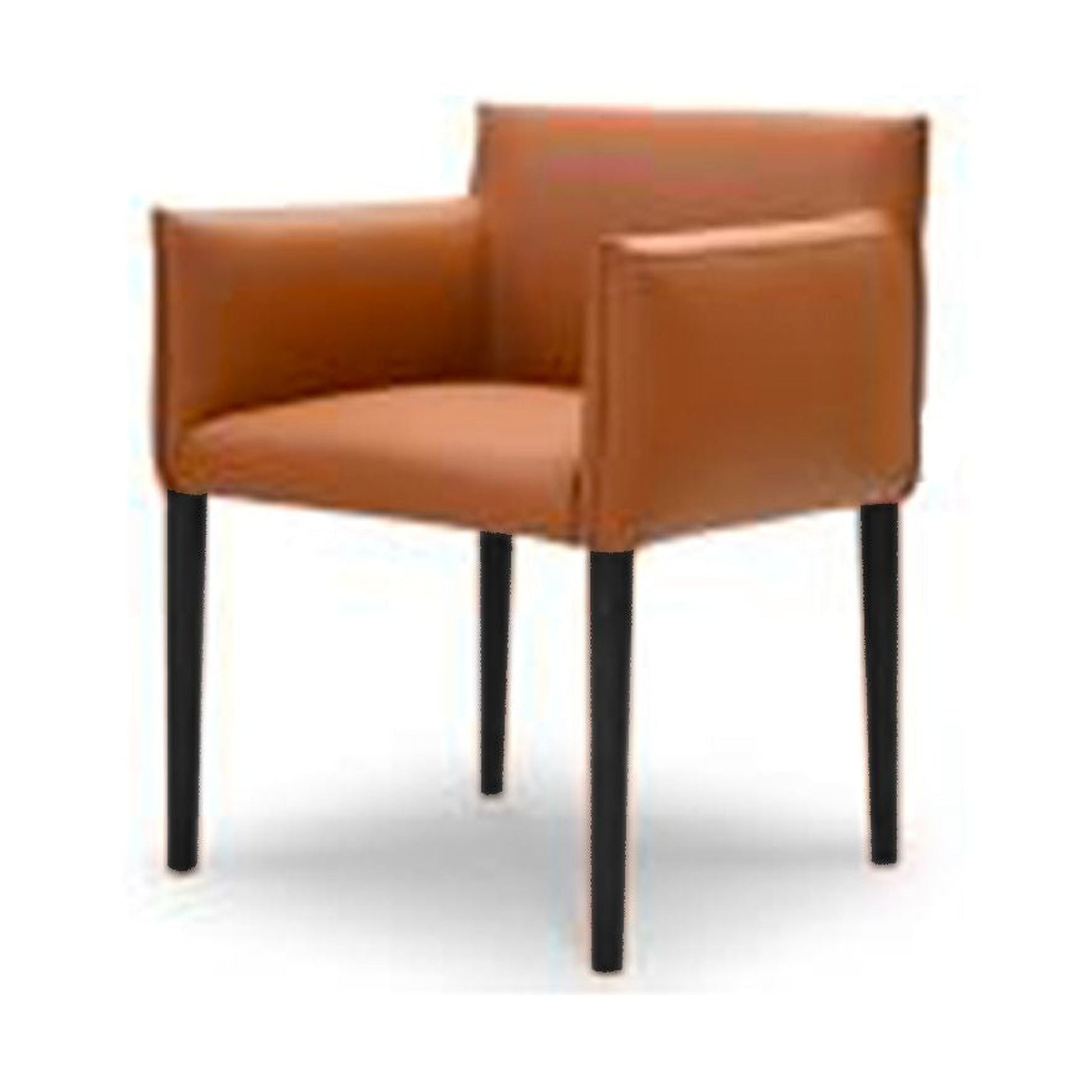 Myles Dining Armchair by Mobital - image 1