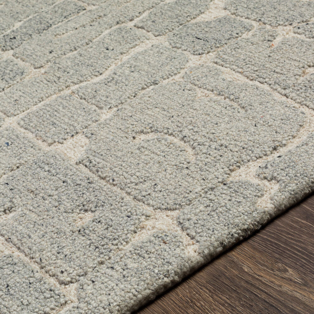 Madelyn Light Beige/Medium Gray Handmade Rug - texture