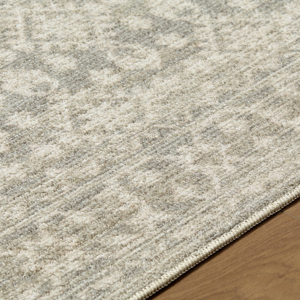 Aram Beige/Light Gray Machine Woven Rug - texture
