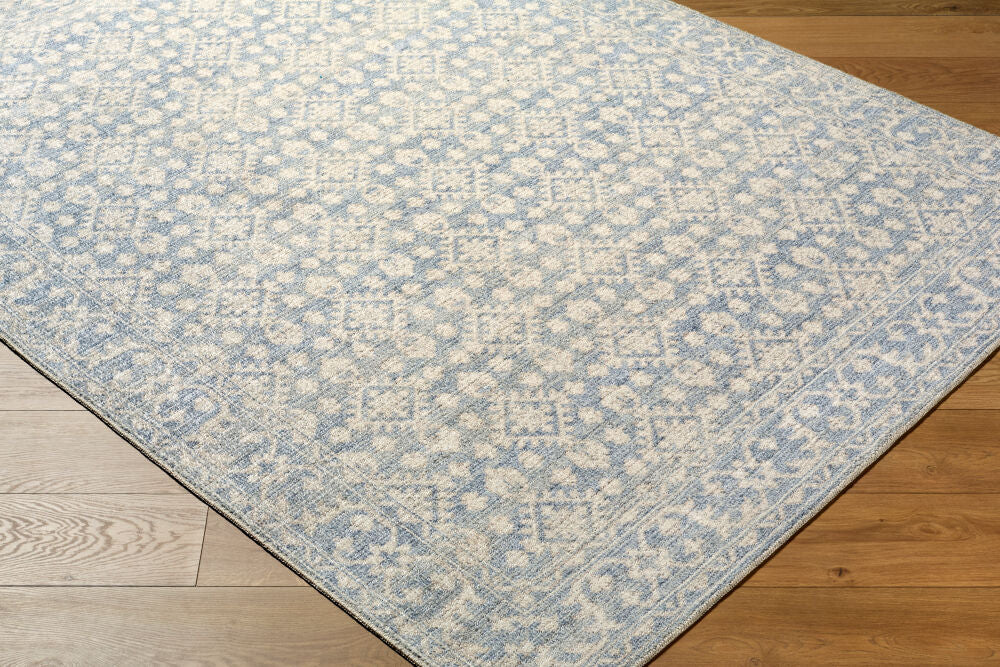 Aram Beige/Pale Blue Machine Woven Rug NBAR-2302 - corner
