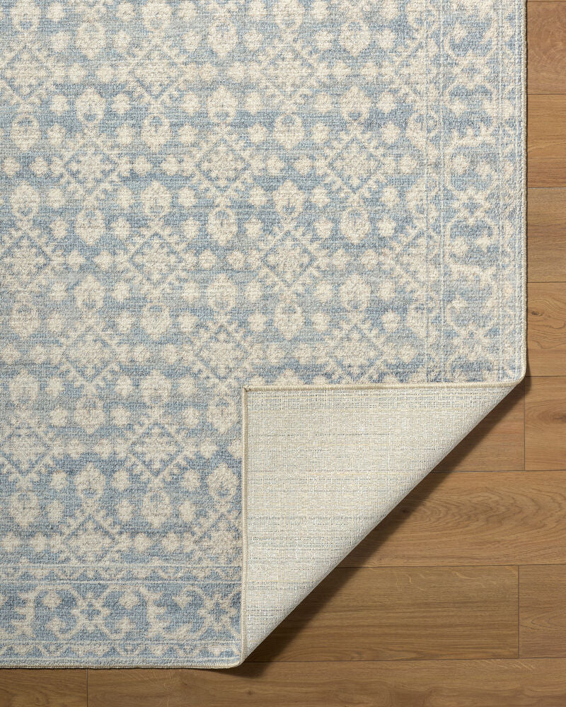 Aram Beige/Pale Blue Machine Woven Rug NBAR-2302 - fold