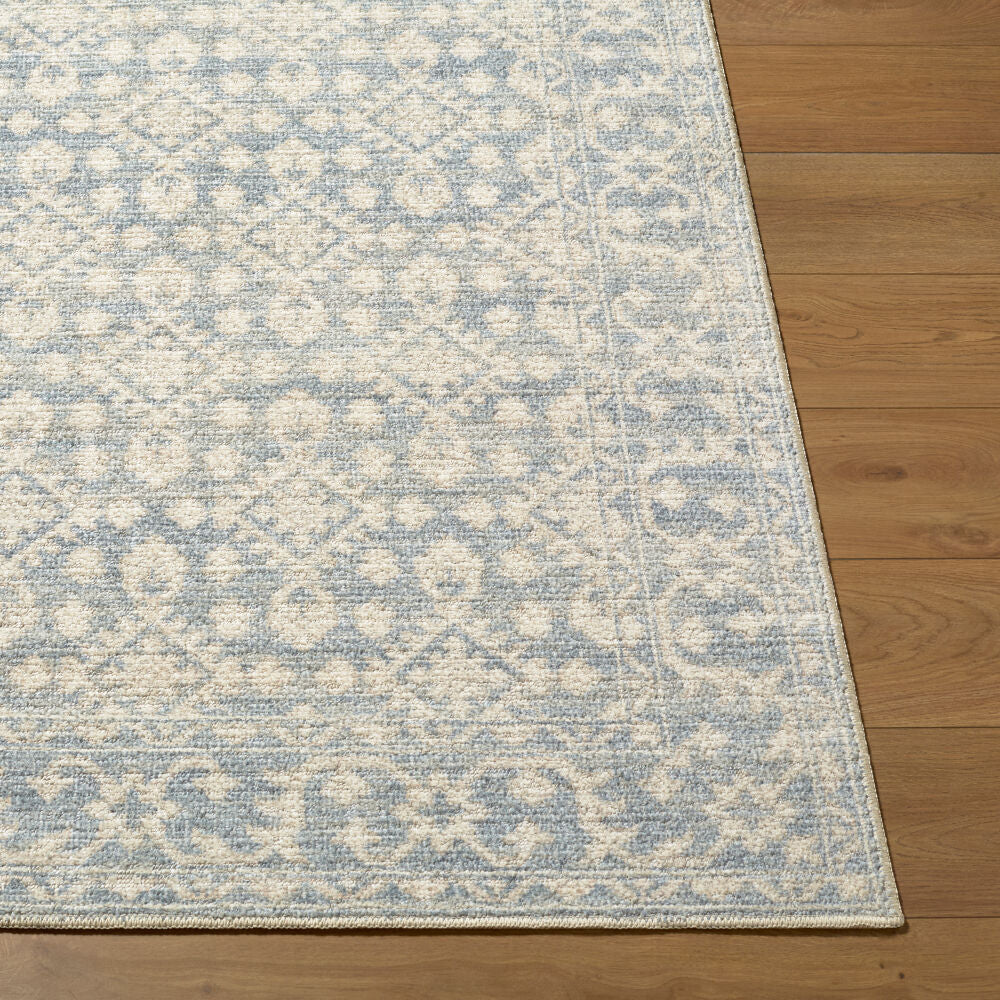 Aram Beige/Pale Blue Machine Woven Rug NBAR-2302 - front