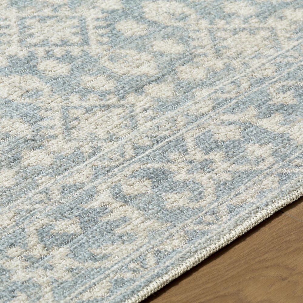 Aram Beige/Pale Blue Machine Woven Rug NBAR-2302 - texture